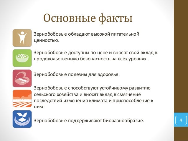 ?2018-й - Международный год зернобобовых по решению Асамблеи ООН ?2018-й - Международный год зернобобовых по решению Асамблеи ООН